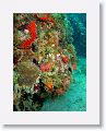 02-UnionIsland - 31